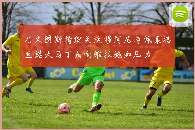 尤文图斯持续关注穆阿尼与佩莱格里诺大马丁或向维拉施加压力