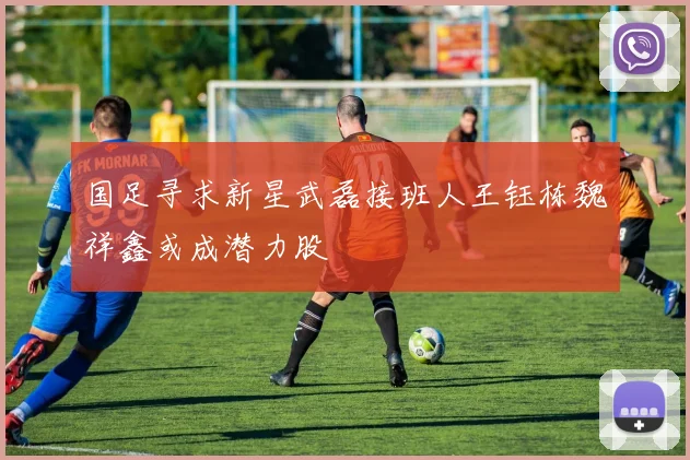 国足寻求新星武磊接班人王钰栋魏祥鑫或成潜力股