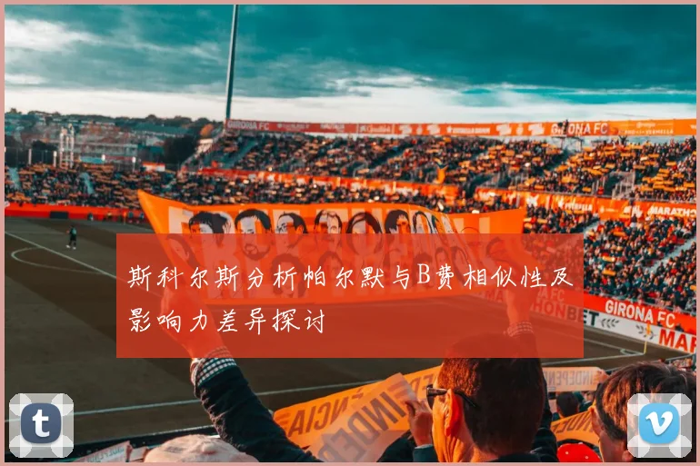 斯科尔斯分析帕尔默与B费相似性及影响力差异探讨